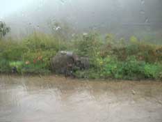 lifecam 09:30