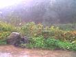 lifecam 15:00